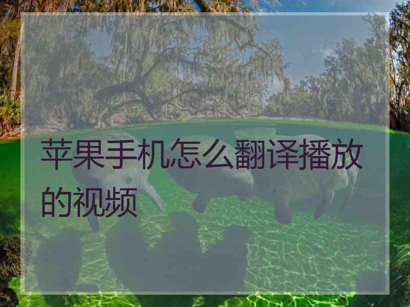 苹果手机怎么翻译播放的视频