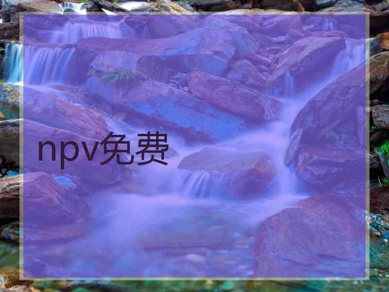 npv免费