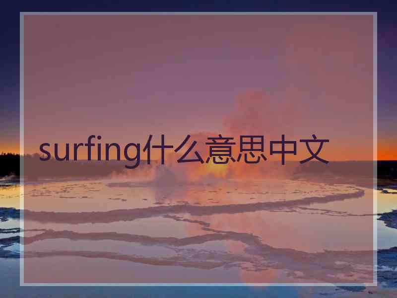 surfing什么意思中文