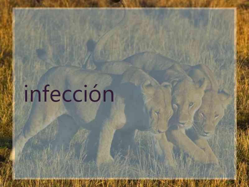 infección