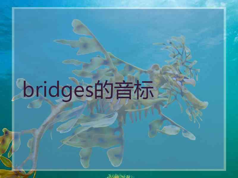 bridges的音标