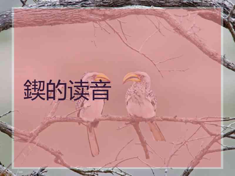 鍥的读音