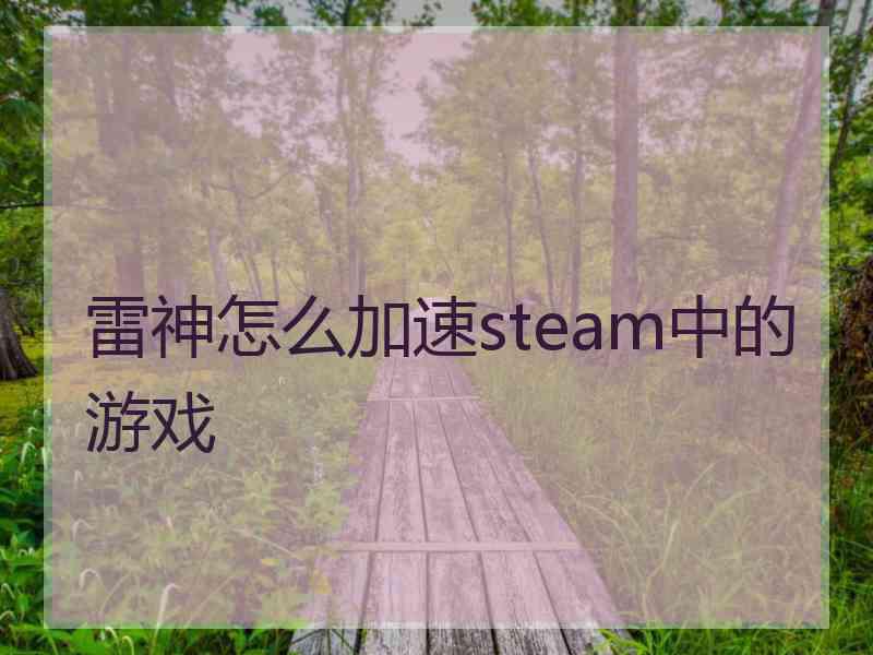 雷神怎么加速steam中的游戏