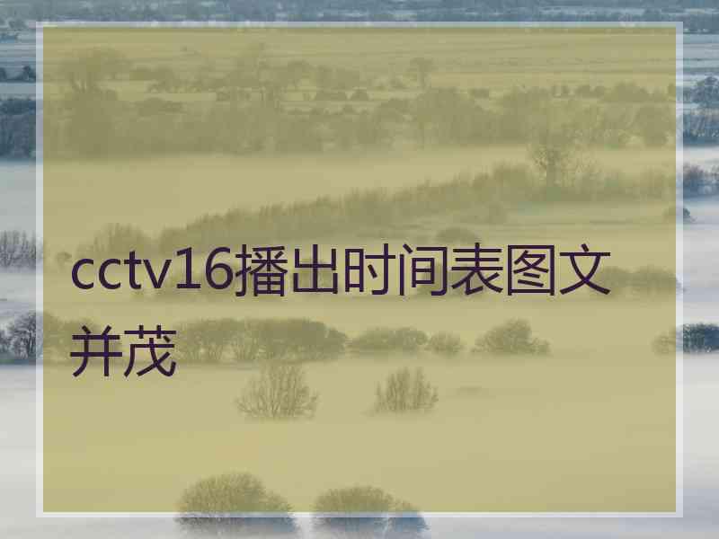 cctv16播出时间表图文并茂