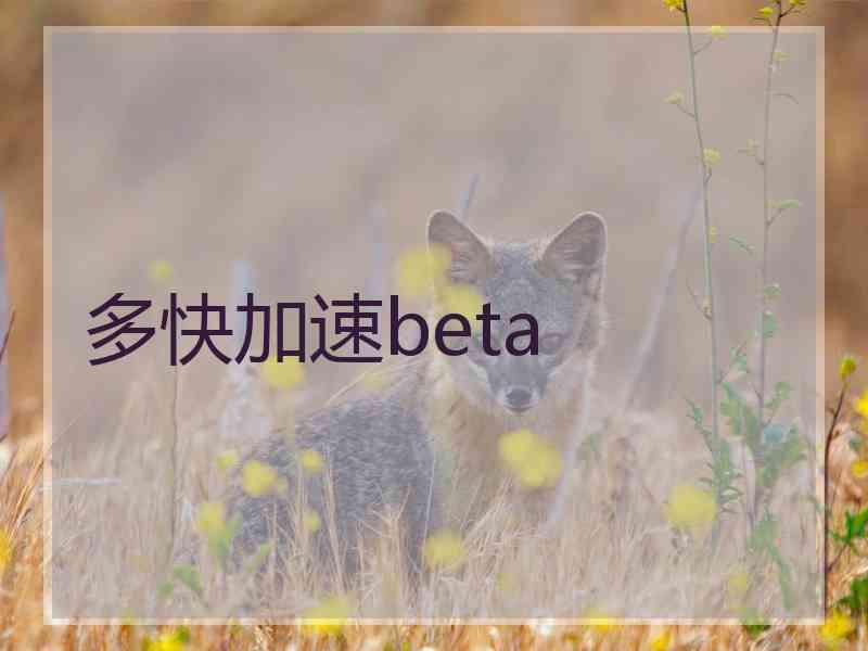 多快加速beta