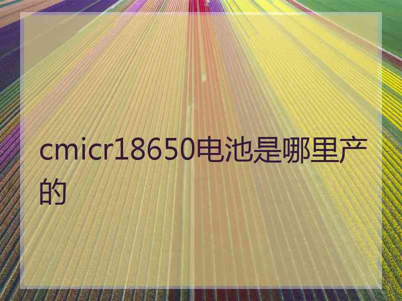 cmicr18650电池是哪里产的