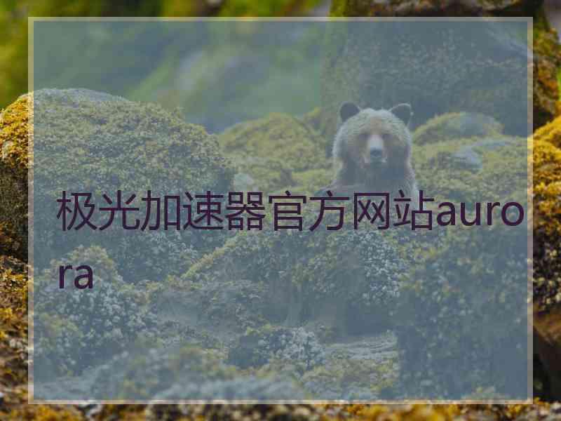 极光加速器官方网站aurora