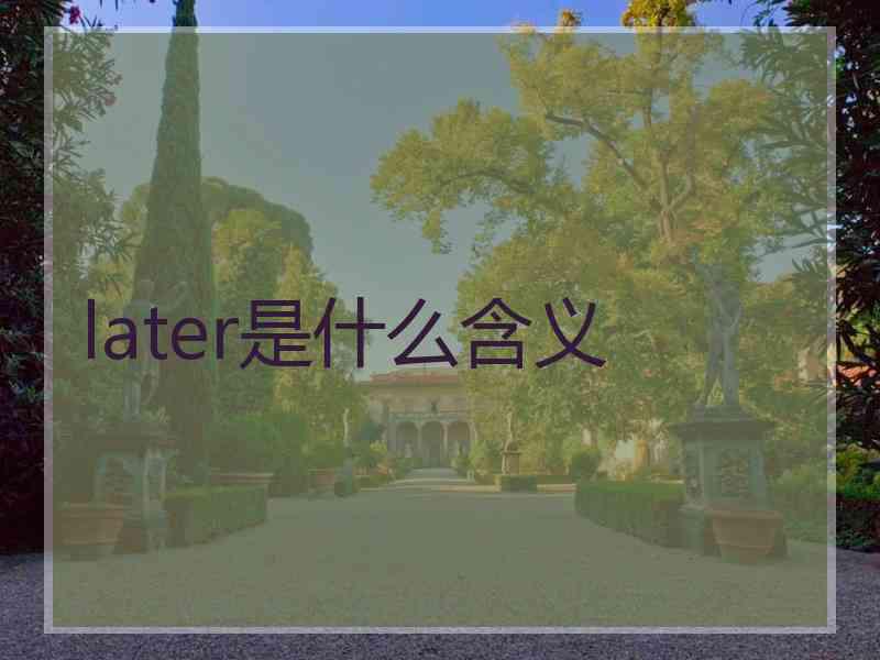 later是什么含义