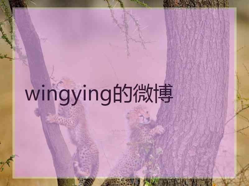 wingying的微博