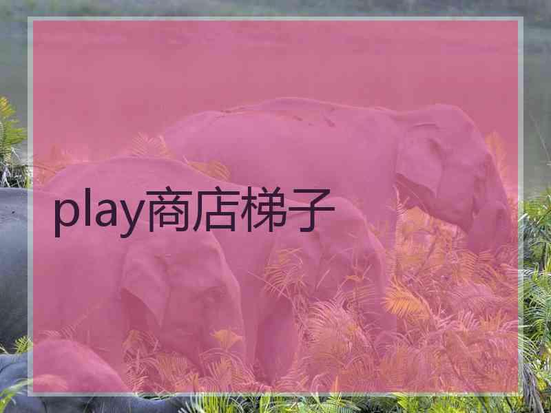 play商店梯子