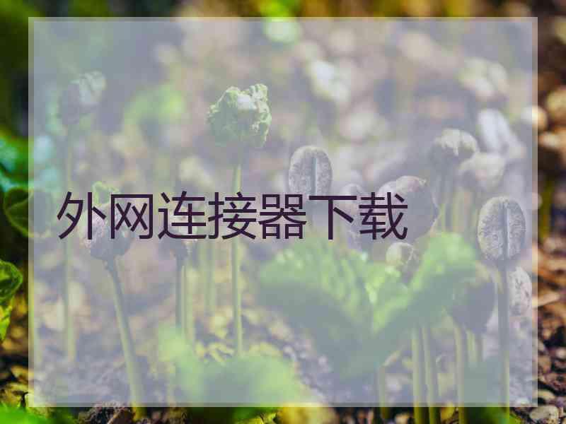 外网连接器下载