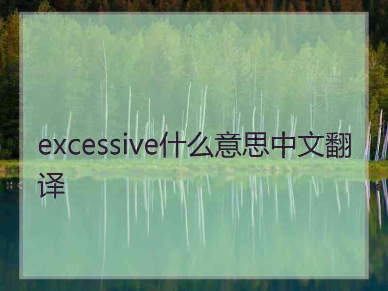 excessive什么意思中文翻译