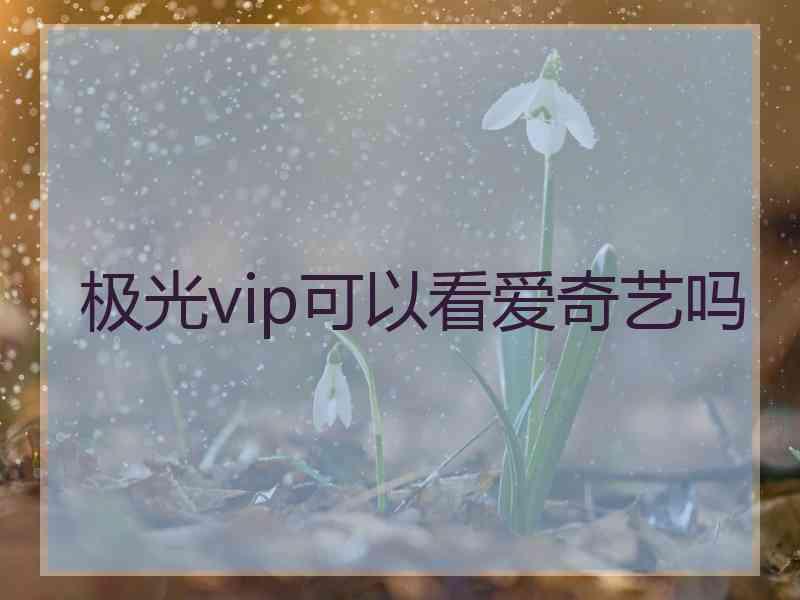 极光vip可以看爱奇艺吗