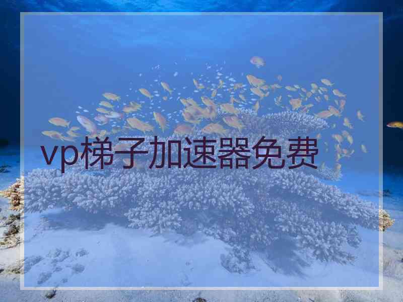 vp梯子加速器免费