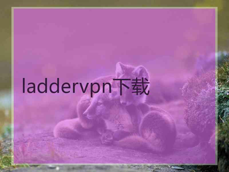 laddervpn下载