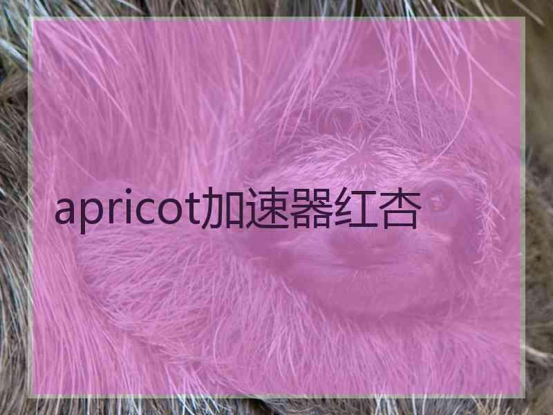 apricot加速器红杏