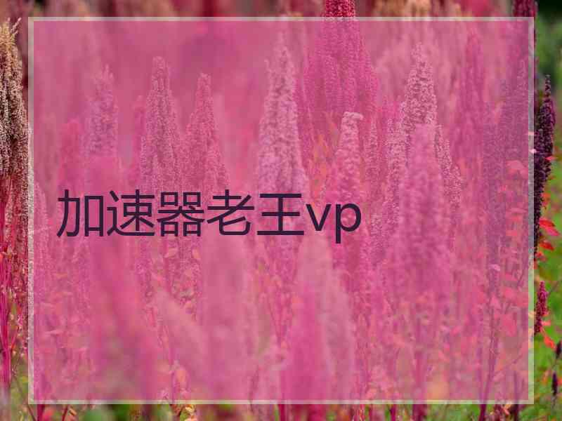 加速器老王vp