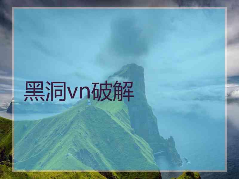 黑洞vn破解