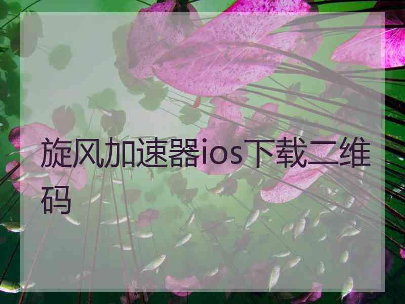 旋风加速器ios下载二维码