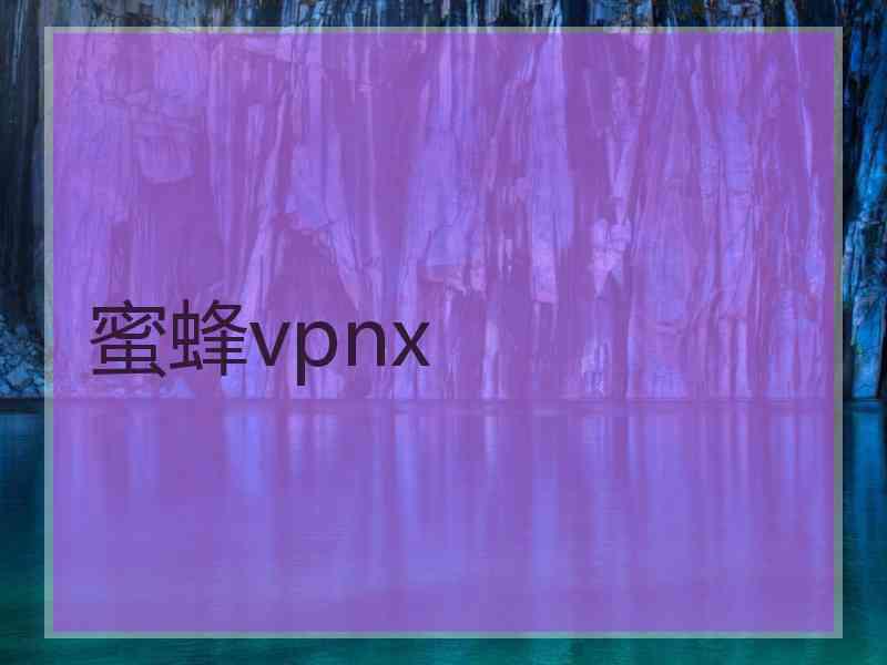 蜜蜂vpnx