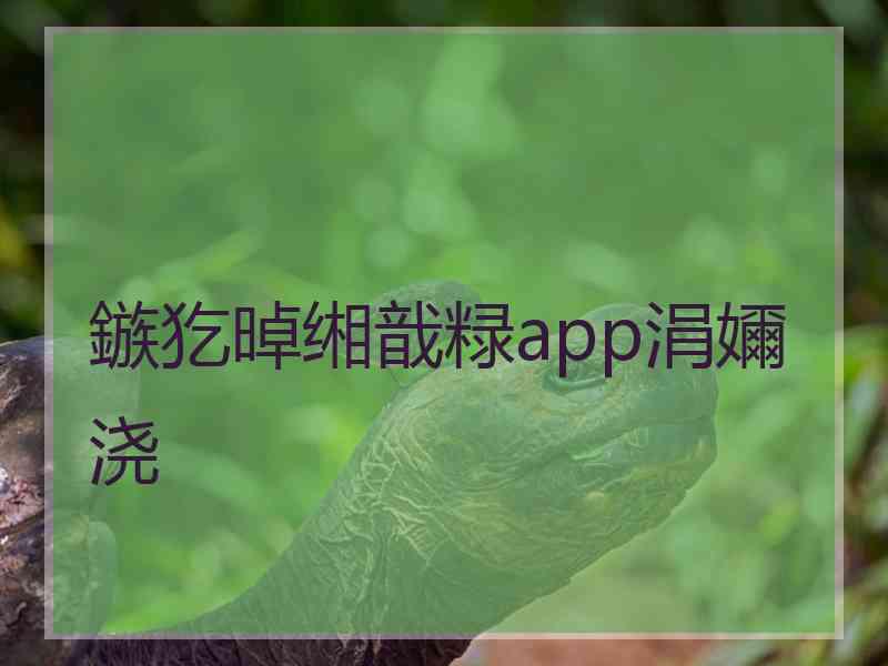 鏃犵晫缃戠粶app涓嬭浇