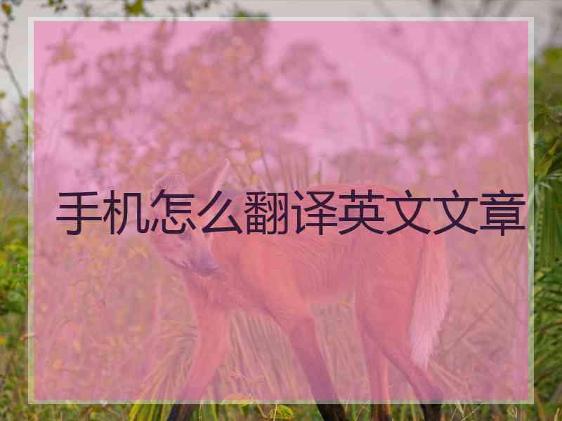 手机怎么翻译英文文章