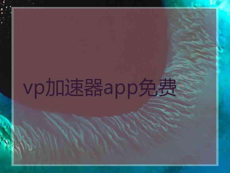 vp加速器app免费