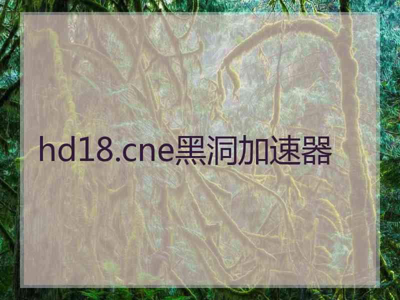 hd18.cne黑洞加速器