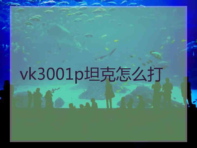 vk3001p坦克怎么打