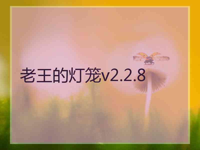 老王的灯笼v2.2.8