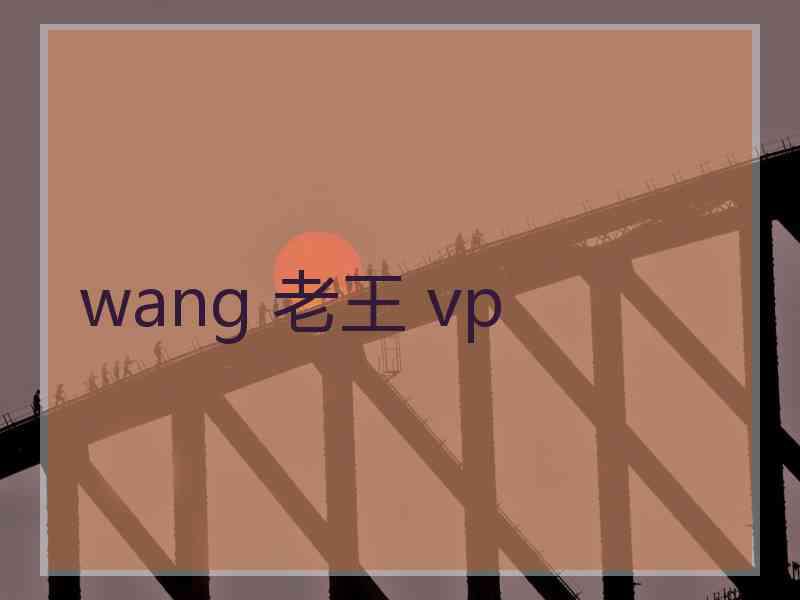 wang 老王 vp