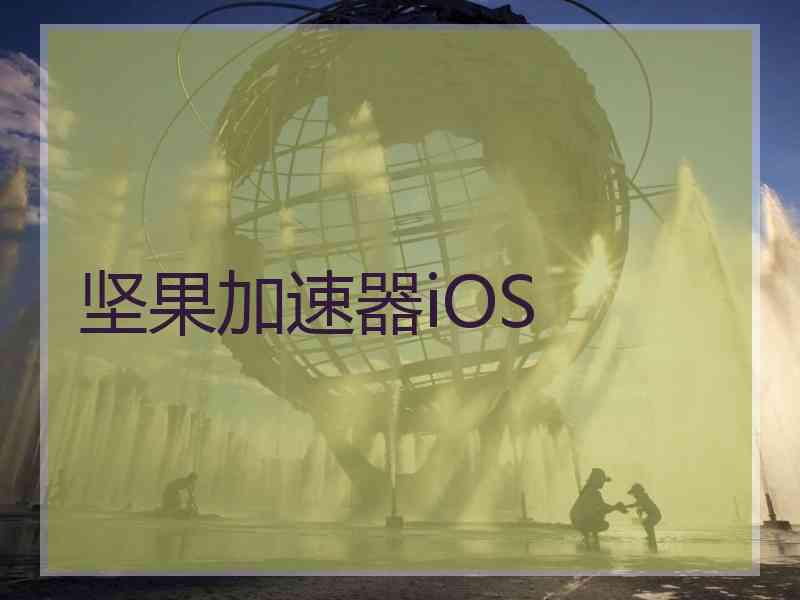 坚果加速器iOS