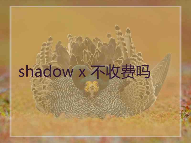 shadow x 不收费吗