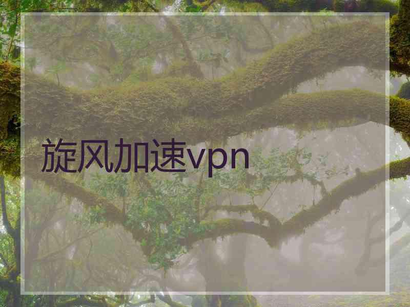 旋风加速vpn