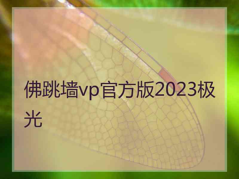 佛跳墙vp官方版2023极光