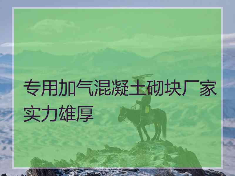 专用加气混凝土砌块厂家实力雄厚