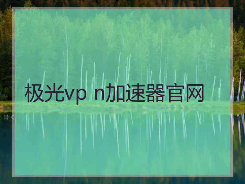 极光vp n加速器官网