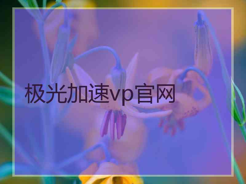 极光加速vp官网