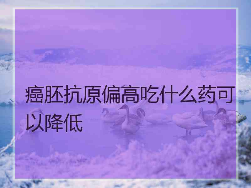 癌胚抗原偏高吃什么药可以降低