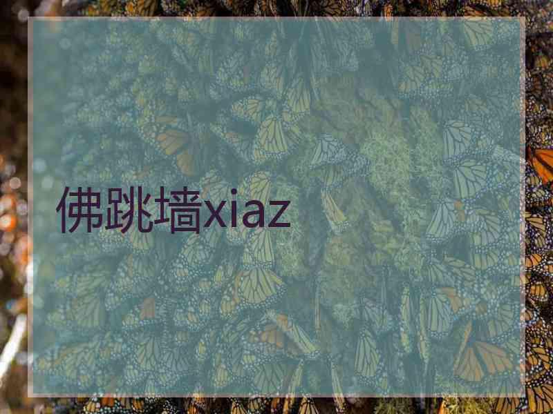 佛跳墙xiaz