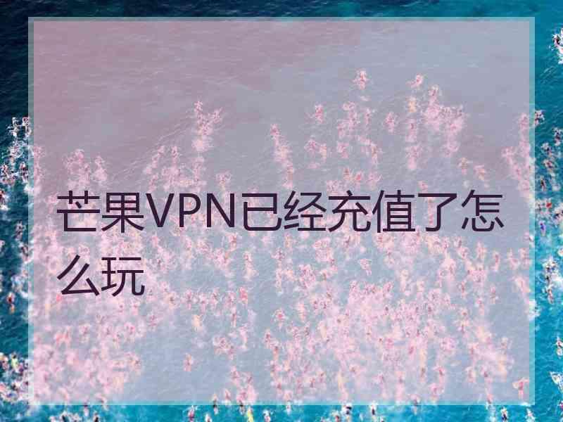 芒果VPN已经充值了怎么玩