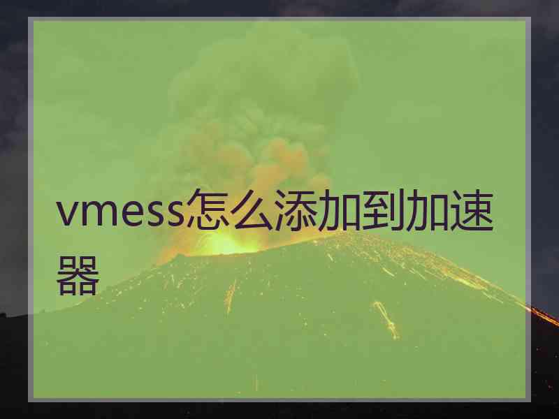 vmess怎么添加到加速器