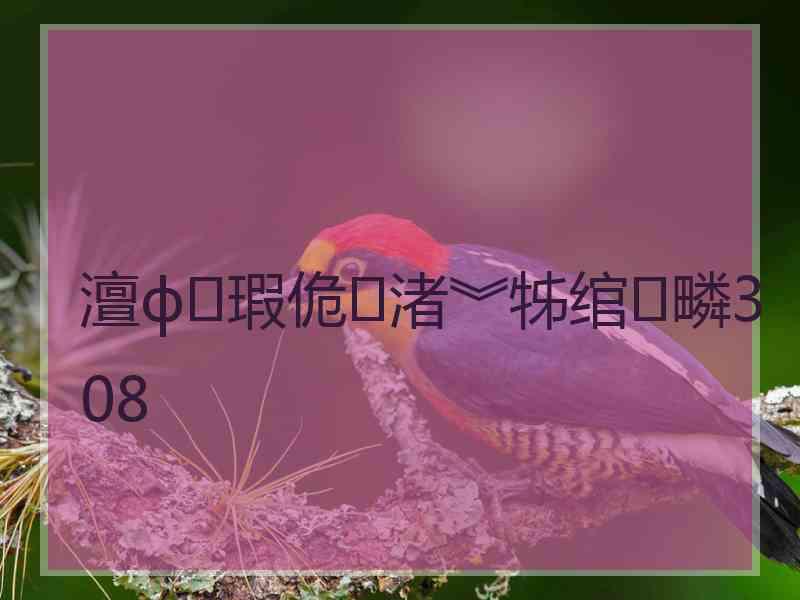 澶ф瑕佹渚︾牬绾疄308