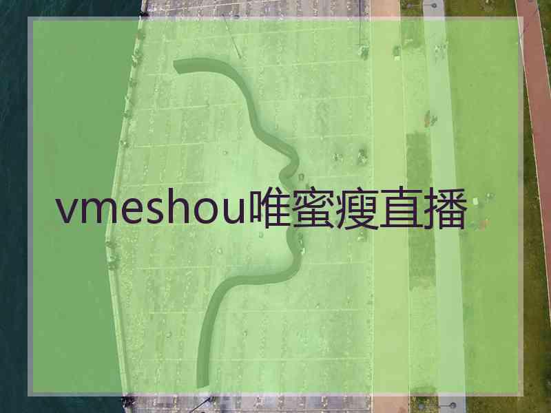 vmeshou唯蜜瘦直播