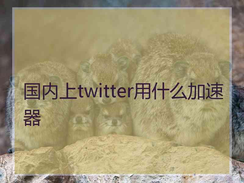 国内上twitter用什么加速器