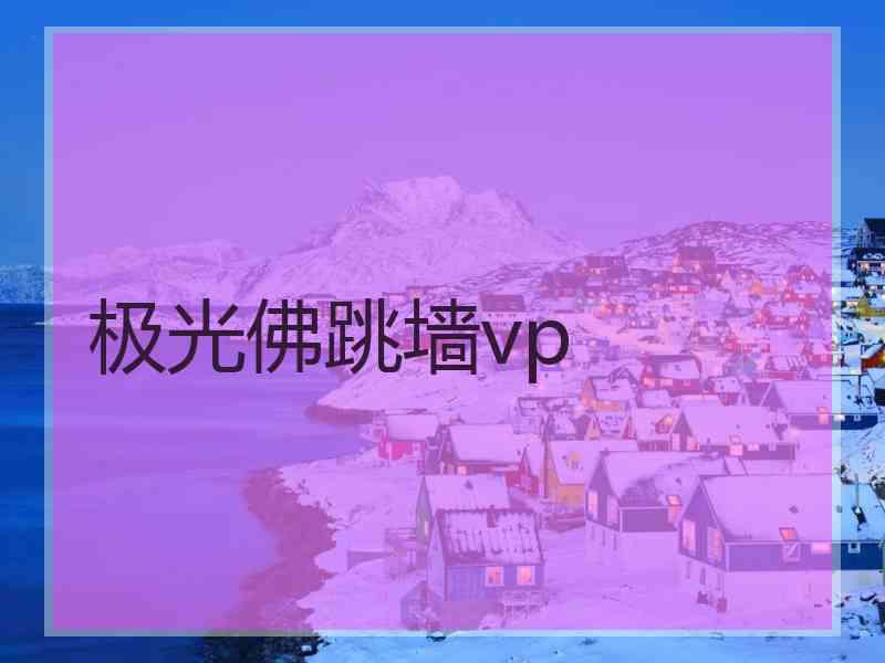 极光佛跳墙vp