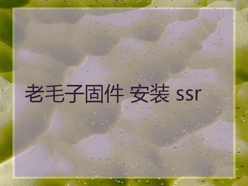 老毛子固件 安装 ssr