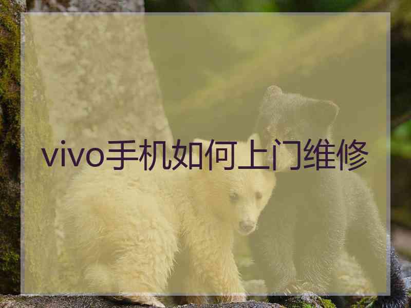 vivo手机如何上门维修