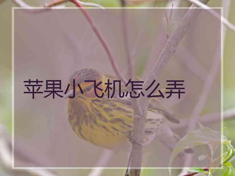 苹果小飞机怎么弄