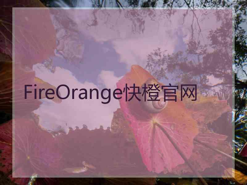 FireOrange快橙官网